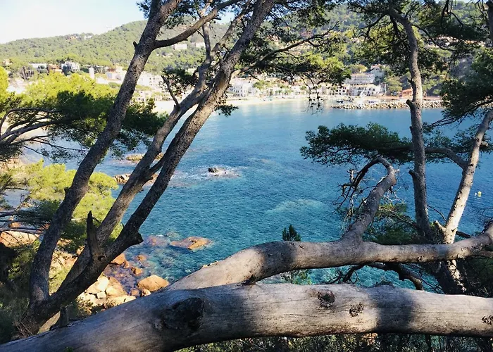 Apartmán Anc 12 -
