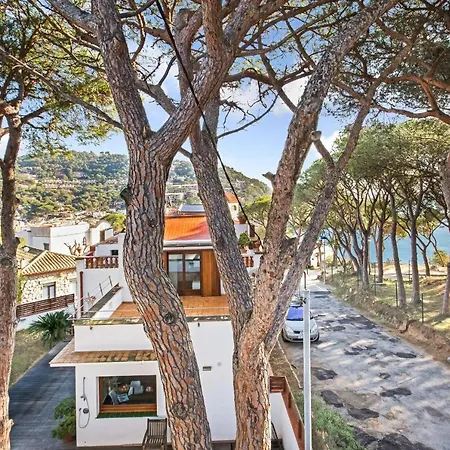 Appartement Anc 12 - Llafranc
